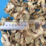 Dried Sliced Ginger - Vietnam Best Selling Product thumbnail-2