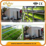 High Quliaty 1000kg Farm Hydroponic Fodder Machine thumbnail-1
