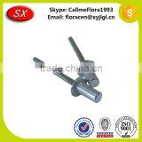 Costom Stainless Steel Rivet Accroding Your Drawing thumbnail-6