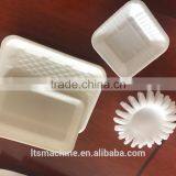 Chinses Hot Sale Plastic Fruit Container Vacuum Forming Machine thumbnail-3