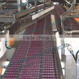 Bead Surface Conveyor System