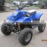 800W Electric ATV (TKE-A500-D) thumbnail-1