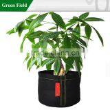 Green Field Urban Garden Plant Bags thumbnail-2