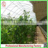 Commercial Plastic Vegetable Greenhouse for Sale With Seedbed thumbnail-5