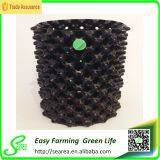 Irrigation Air Root Container Agriculture thumbnail-4