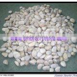 White Pebble Stone thumbnail-1