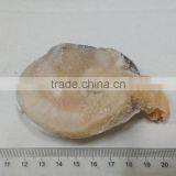 Raw Frozen Half-shell Huge Clam thumbnail-2