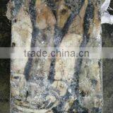 Frozen Peru Squid Wholesale thumbnail-5