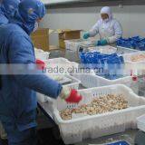 1000g Seafood Mix thumbnail-5