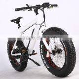 2017 New Design 20 Inch 36V 350W Non-foldable Electric Fat Bike thumbnail-5