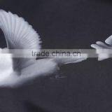 Fashion Printing O-neck Long Sleeve Black Thin Pullover Jersey t Shirt for Men thumbnail-4