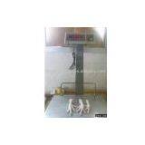 Chicken Paws/Feet thumbnail-1