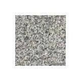 Sell Rosa Beta thumbnail-1