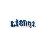 Shenzhen Lianqi Electronic Co., Ltd