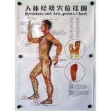 2014 Medical Health Acupoint Chart/ Human Meridian Acupuncture Points Chart/wall Chart 10 Page One Set thumbnail-2
