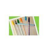 Ballpoint Promotion Pen