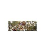 Amusement Machine Pendular Turtle