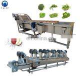 Fruit Cleaner Persimmon Papaya Carrot Washing Machine Restaurant Vegetable Washing Machine thumbnail-6