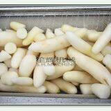 Commercial Fish Scale Peeling Machine Sweet Potato Taro Radish Ginger Peeling Machine thumbnail-5