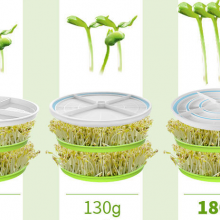 Supply OEM/ODM Bean Sprout Machine thumbnail-2