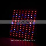 Wholesale Cheap 14w Two Channels Par Led Grow Light 2016 Calgary Potatoes Seeding Hydroponic Garden Lights thumbnail-6