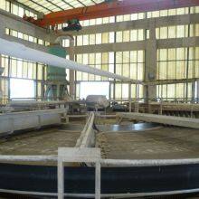 Fosfato Dicálcico(DCP) Polvo 18% thumbnail-4