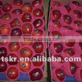 fruit vegetable huaniu apple