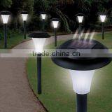 Cordless Bright Solar Accent Lights, Set of 8