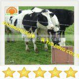 china zisa cow fence manufacturers