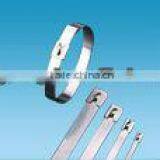 Supply Chinl Brand 304 Stainless Steel Cable Ties 7.9*300(ISO9001 UL) thumbnail-1