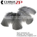 CHINAZP Hottest Plume Items Wholesale Dyed Grey Turkey T-Base Body Plumage Feathers for Decorations