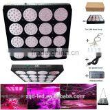 XQD 450W LED Light Full Spectrum LED Grow Light Black Panel For Medical Herb Veg and Flower Stage thumbnail-3