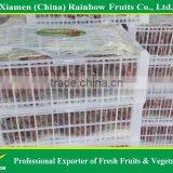 Fresh Fruit of Yunnan Red Globe Grape With Good Taste Grapes Peru Seedless Grapes thumbnail-5