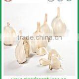 Chinese Natural Spice Garlic Supply to Singapore thumbnail-6