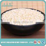 Top Quality no Chemicals Crushed Sweet Debittered Apricot Kernel Used for Baking, Beverage, Food thumbnail-3