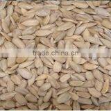 Yummy Sunflower Seeds- Organic Sunflower Kernels New Corp to Sale thumbnail-5