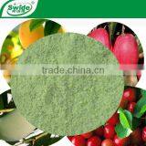 NPK Fertilizer 15-15-15 for Rice