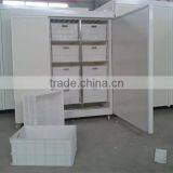 Hot Sale Multifunctional Soy Bean Sprout Machine thumbnail-6