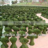 Bamboo Flower Stick/ Dried Bamboo Sticks/ Bamboo Flower Sticks Bamboo Plant Sticks thumbnail-1