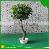 Mini Bonsai Artificial Ficus Ball Tree thumbnail-2