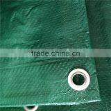 Laminated Waterproof pe Tarpaulin Vietnam thumbnail-4