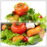 CE Electric Stainless Steel Food Vegetable Chopper Cutting Machine for Sale thumbnail-2