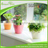 ABS Plastic Bright Color Flower Pot With Separate Inner Design thumbnail-3
