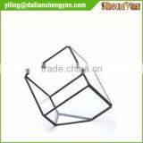 The Cube Shape Planter,geometric Glass Terrarium thumbnail-5