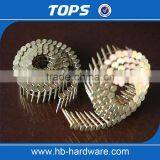 Hot Sale Factory Price Coil Roofing Nail Made in China thumbnail-3