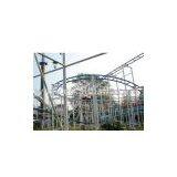 Popular and Hot Sale! Theme Park Playground Rides Mad Mouse thumbnail-1