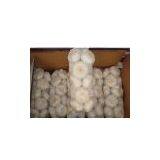 Pure White Garlic-1203 thumbnail-1