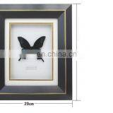 Nature Real Butterfly Frame Home Decoration Craft thumbnail-3