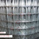 Standard 1 X1 Wire Mesh Stainless Steel Wire Mesh