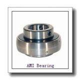 AMI Bearings